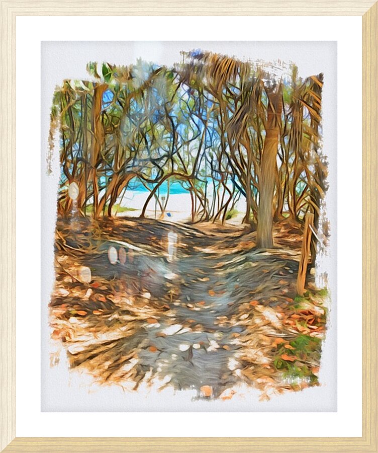Beach Access 41 Picture Frame print