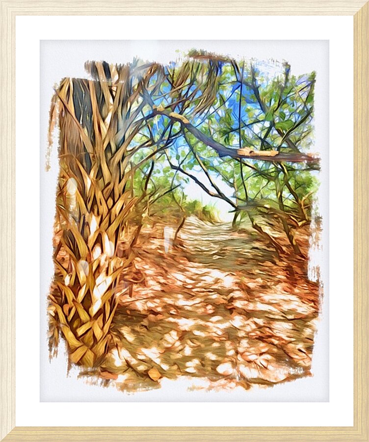 Beach Access 66 Picture Frame print