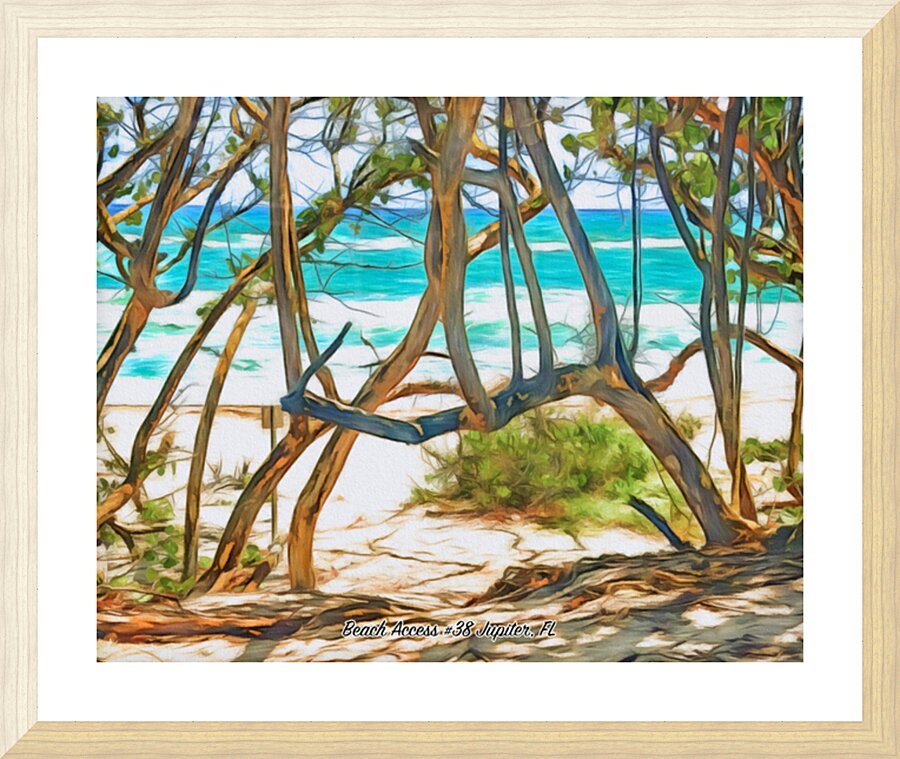 Beach Access  38 Horizontal Picture Frame print