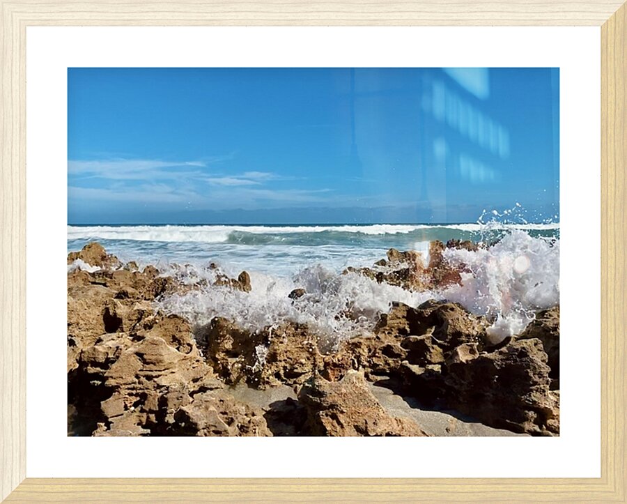 IMG 1973 Picture Frame print