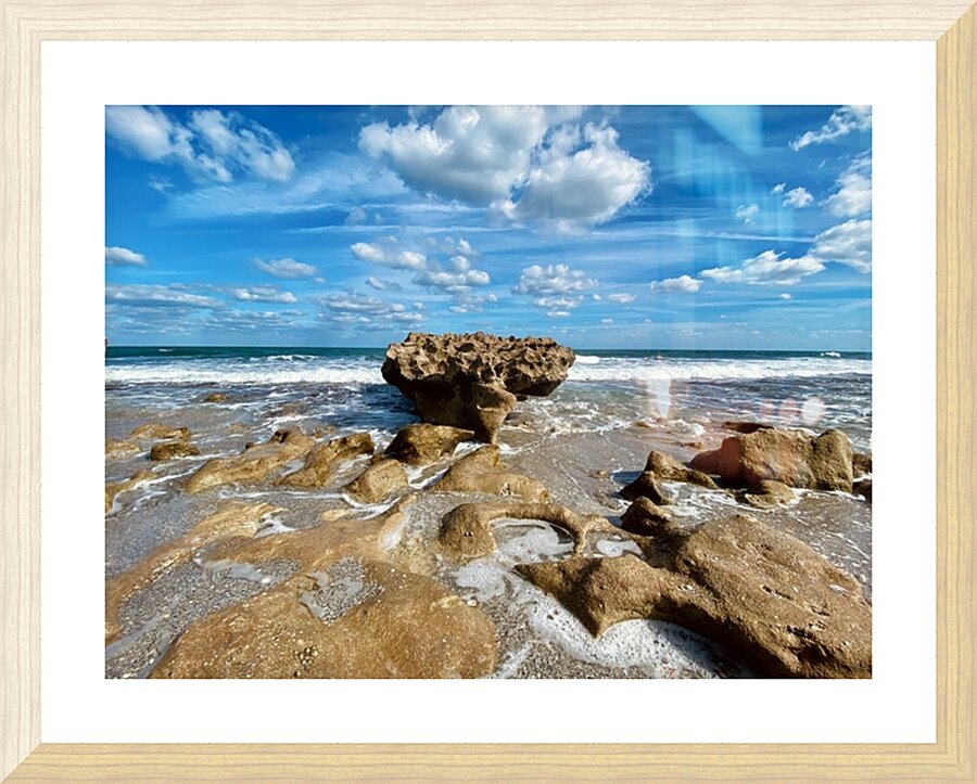 IMG 1646 Picture Frame print