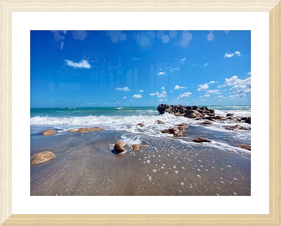 IMG 9534 Picture Frame print