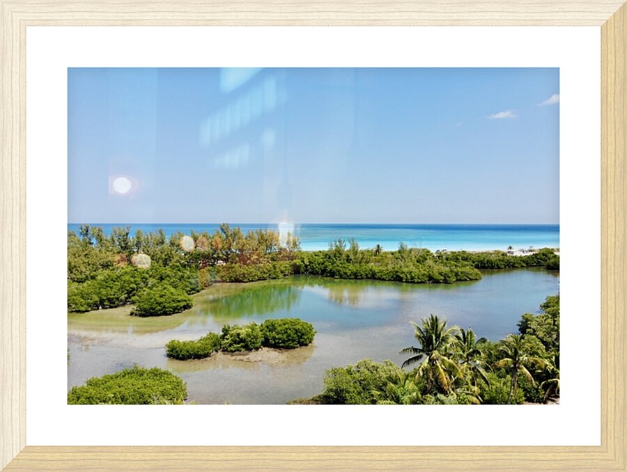 IMG 3705 Picture Frame print