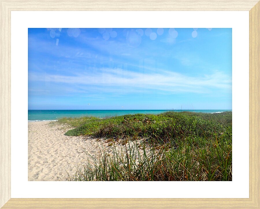 P1260011 Picture Frame print