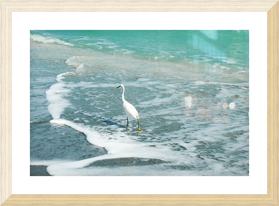 DSCN3016 Picture Frame print