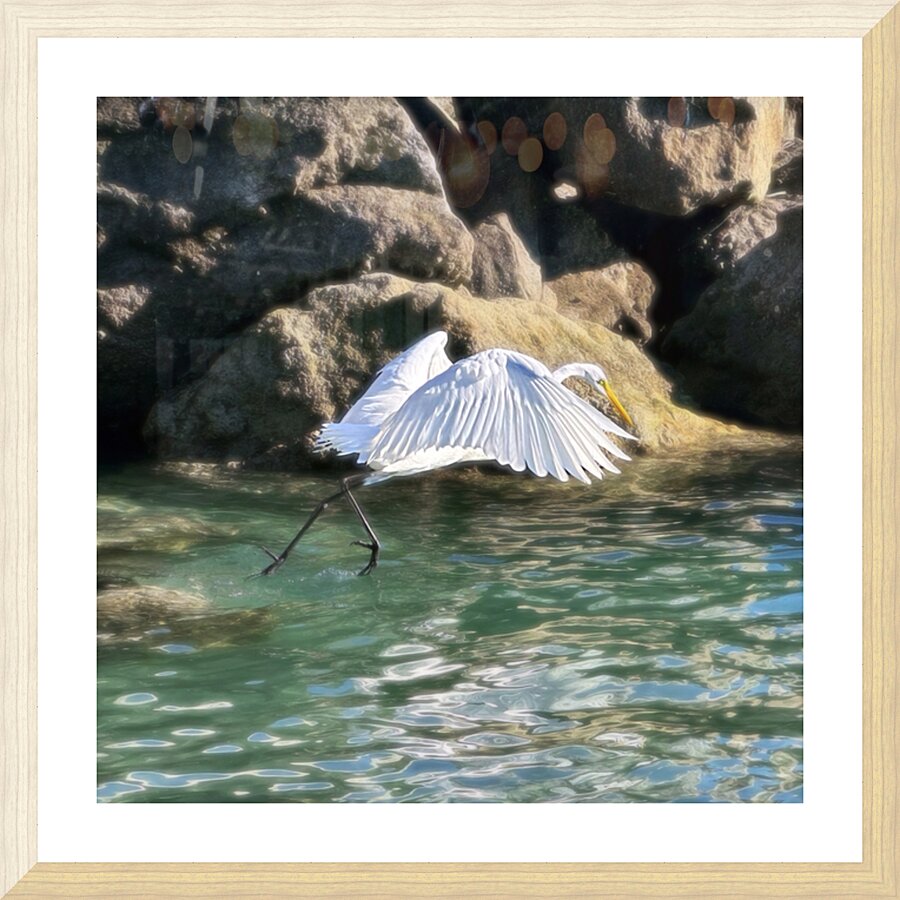 EGRET2 Picture Frame print