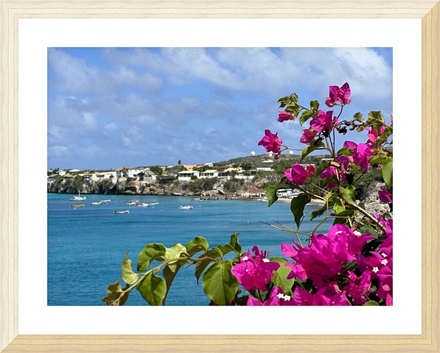 IMG 7005 Picture Frame print