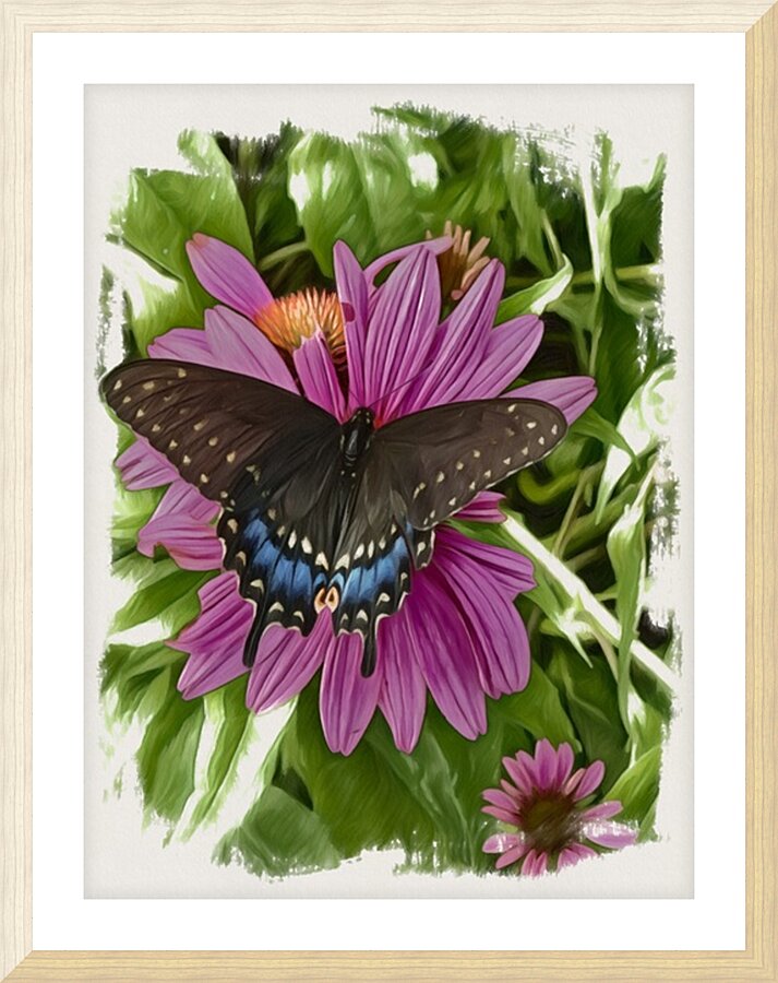 Butterfly II Picture Frame print