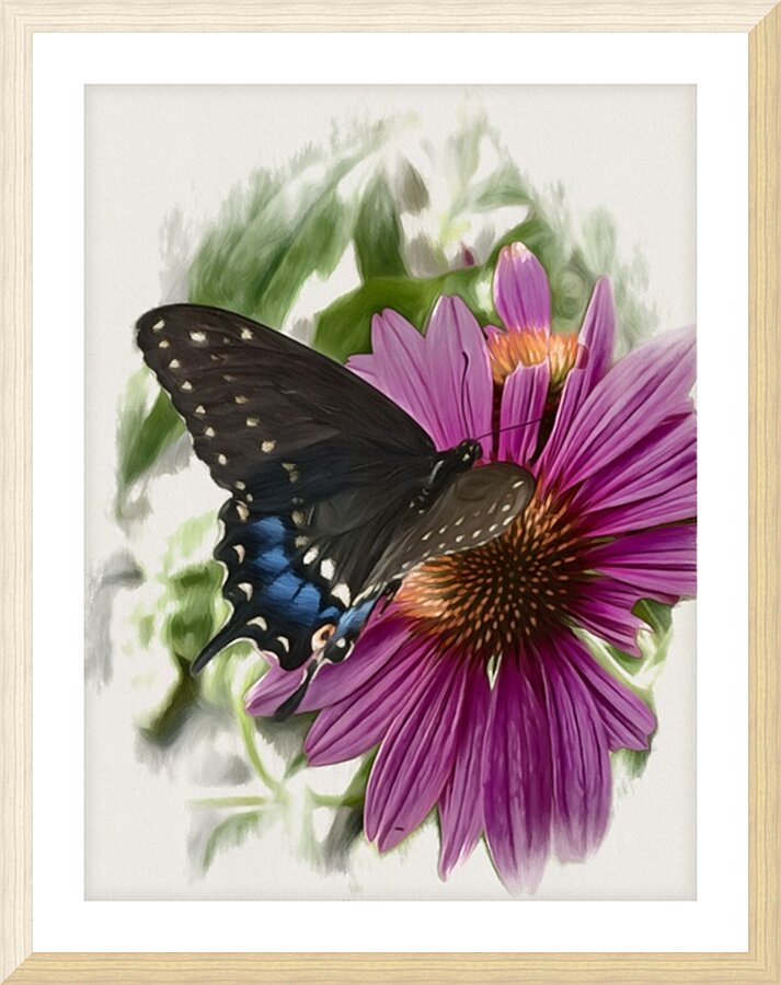 Butterfly I Picture Frame print