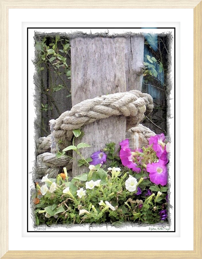 Coastal Tie Picture Frame print