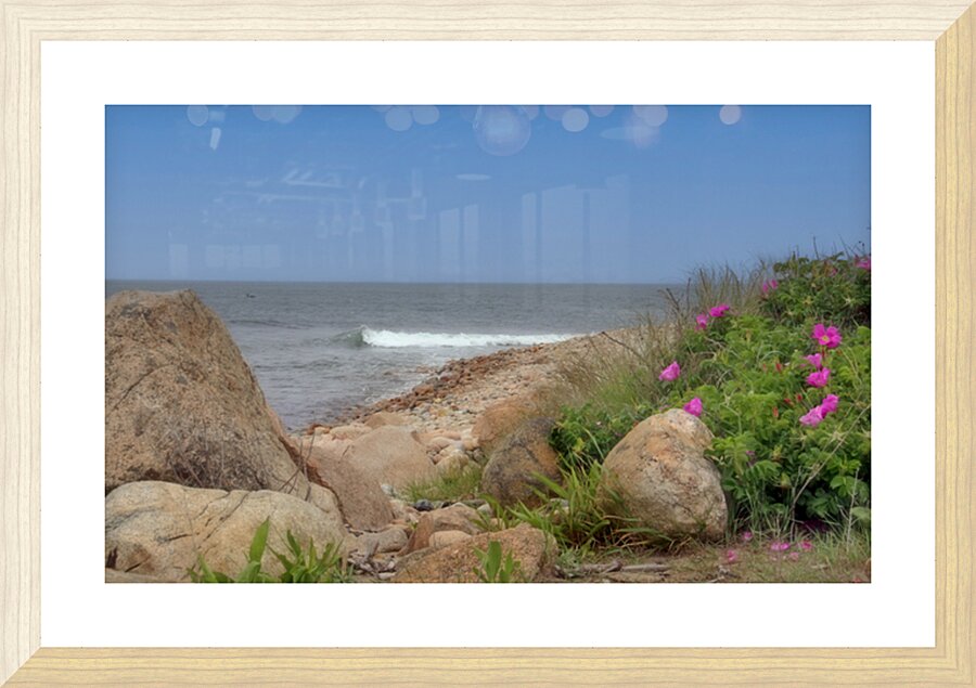 IMG 4989  Picture Frame print