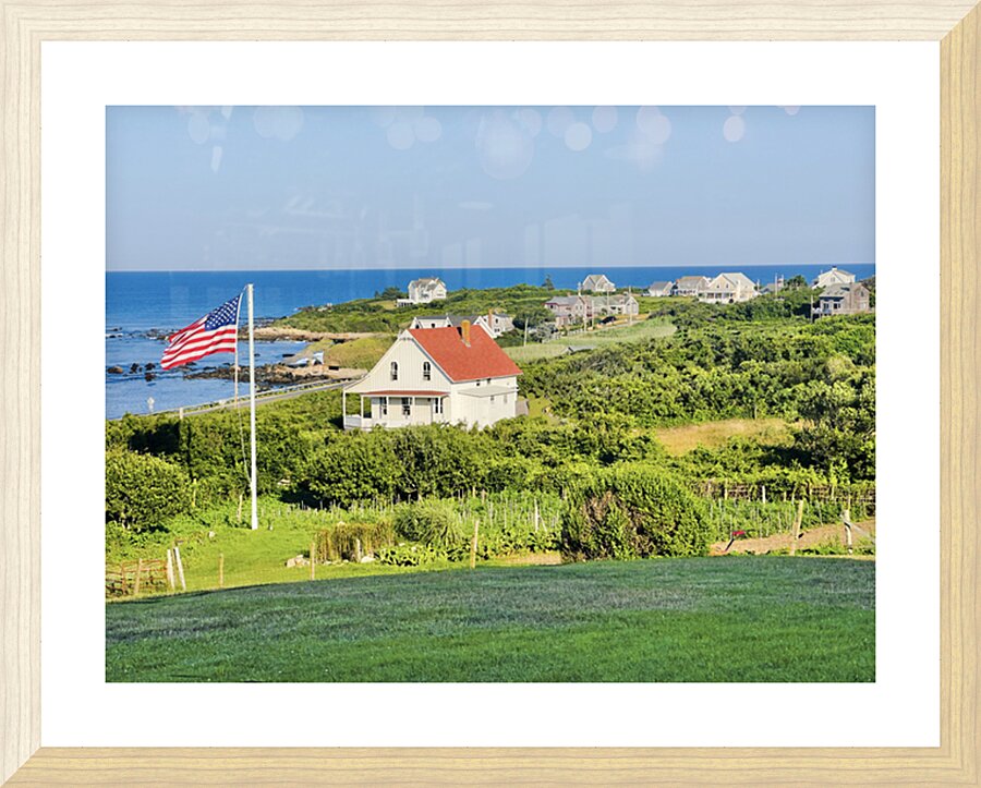 Spring St Picture Frame print