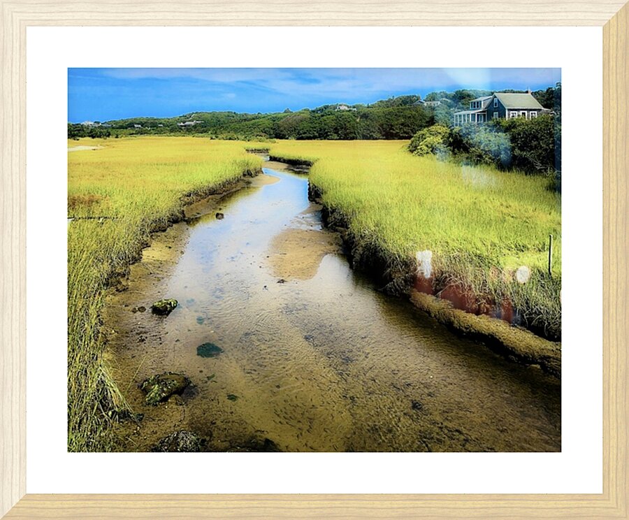 Marsh Picture Frame print