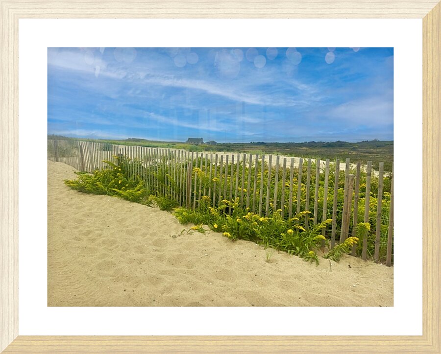 Sea Grass H Picture Frame print