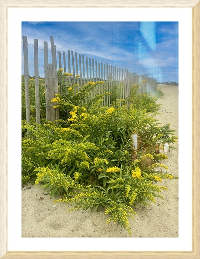 Sea Grass Picture Frame print