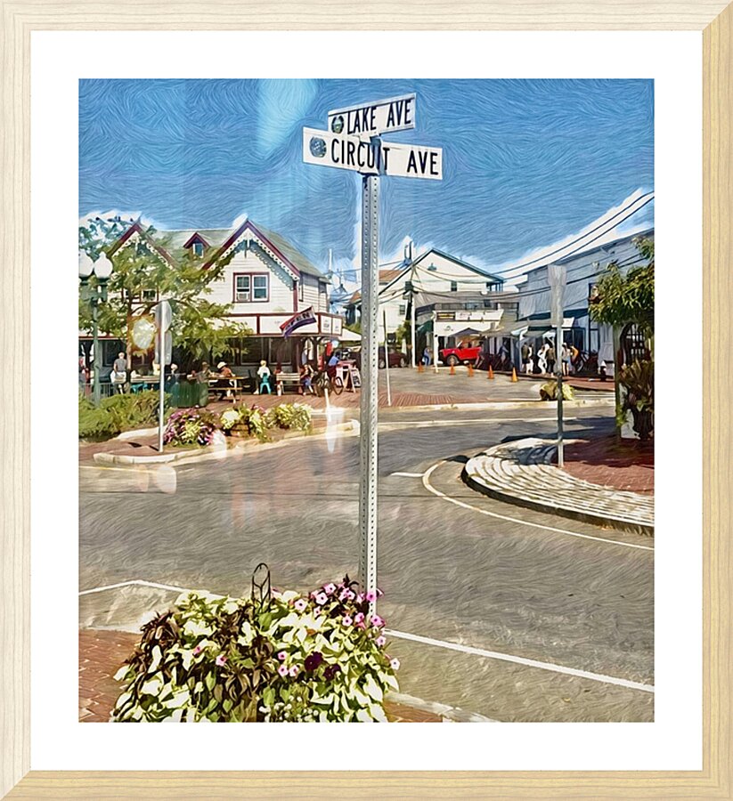 Circuit Ave Picture Frame print