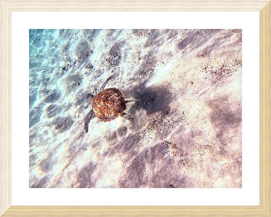 IMG 6836 Picture Frame print