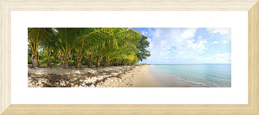 Bastimentos Beach Picture Frame print