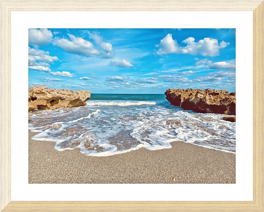 CoralCove1 Picture Frame print