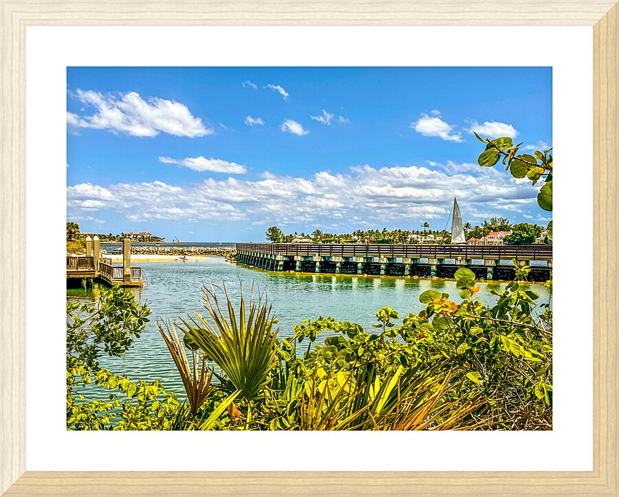 Penut Island Picture Frame print