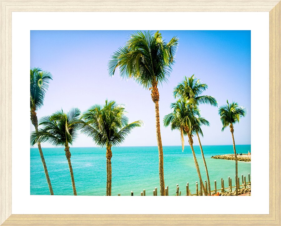 PalmsMarco Picture Frame print