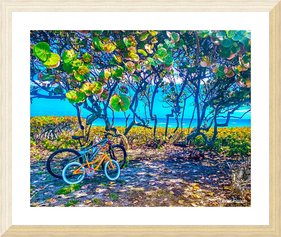 JunoBikes Picture Frame print