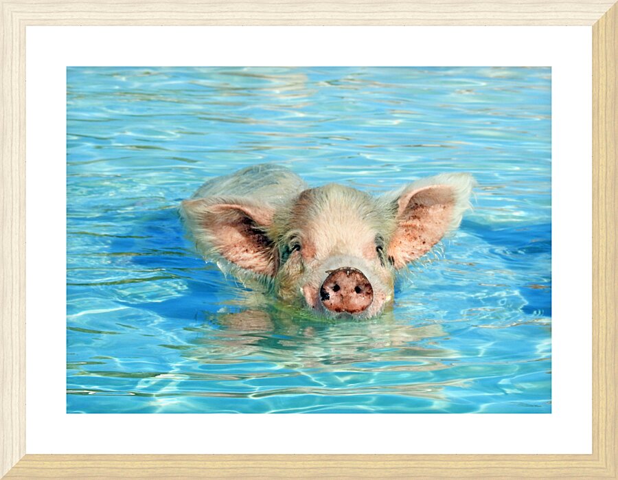 Piglet Picture Frame print
