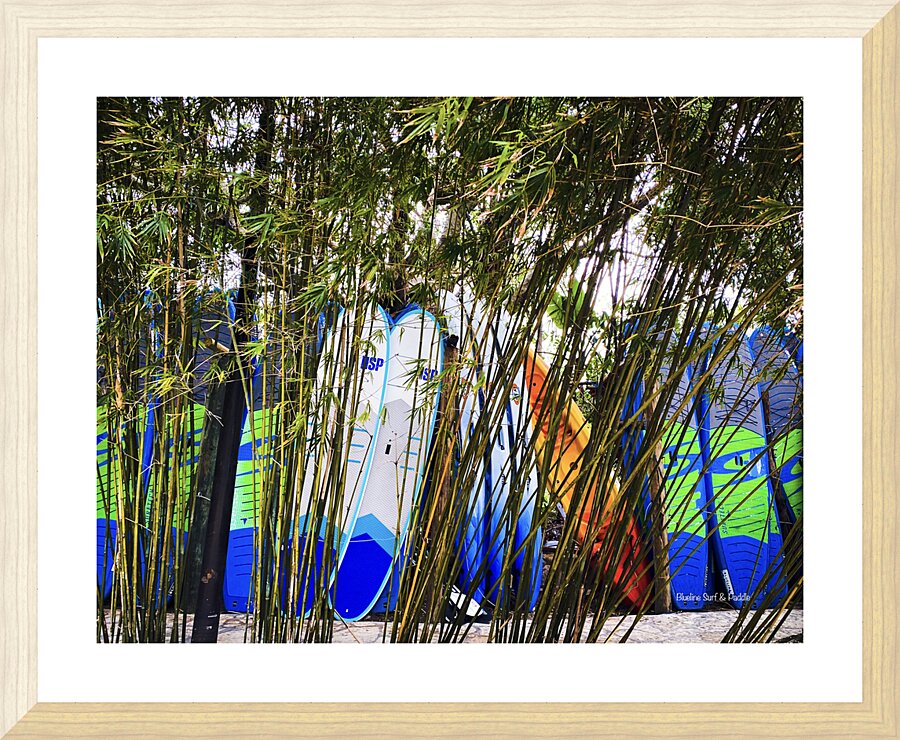 PaddleBoards Picture Frame print