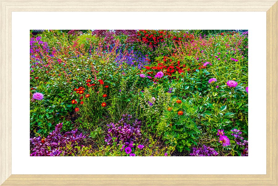 Wild Flowers Picture Frame print