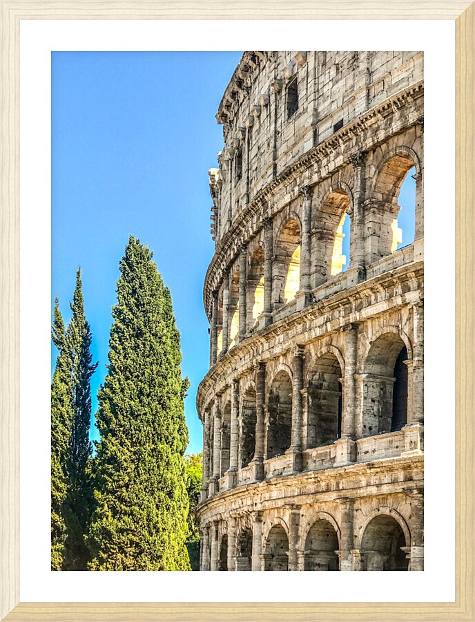 Rome VI Picture Frame print