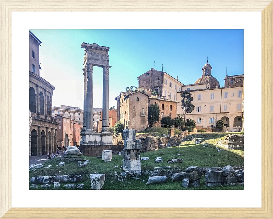Rome II Picture Frame print