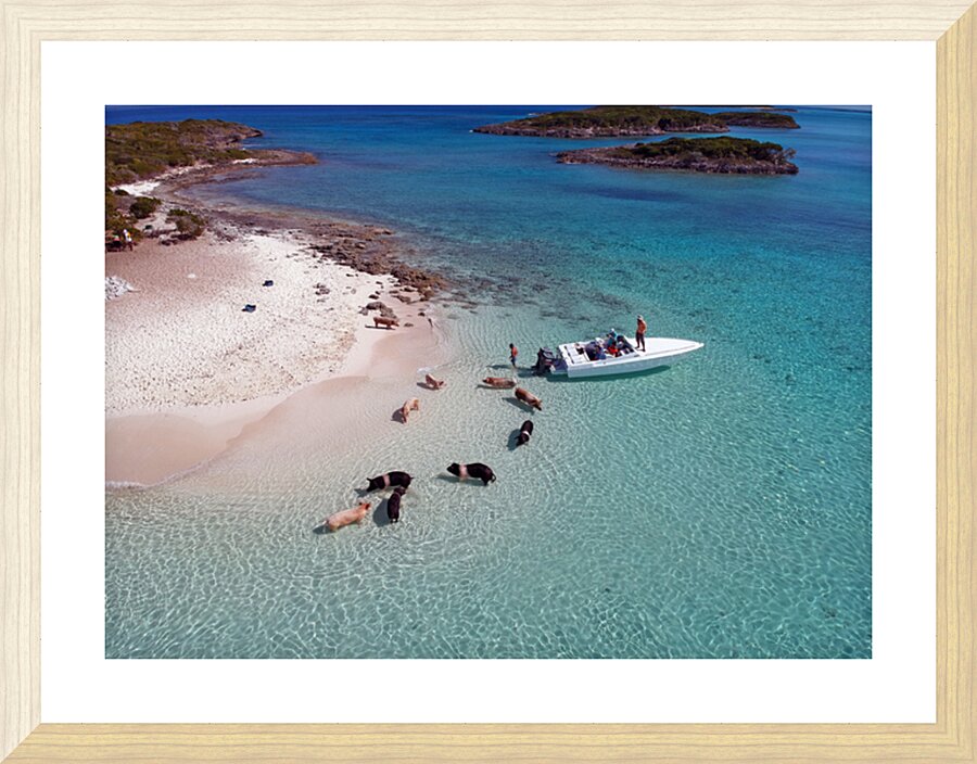 PigBeach Picture Frame print