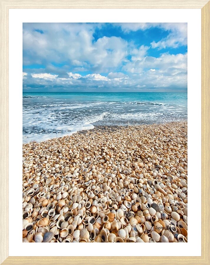 Shell Yah Picture Frame print
