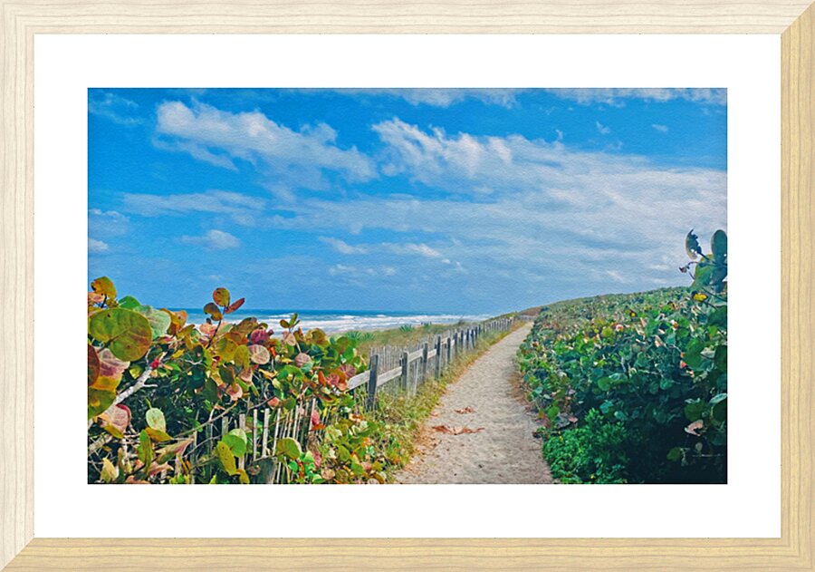 Beach Path II Picture Frame print