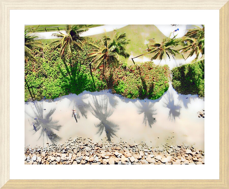 Palms n Sand Picture Frame print