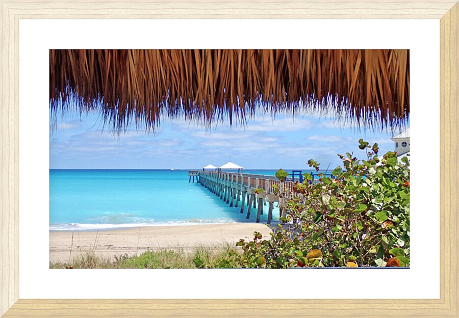 Juno Pier IV Picture Frame print
