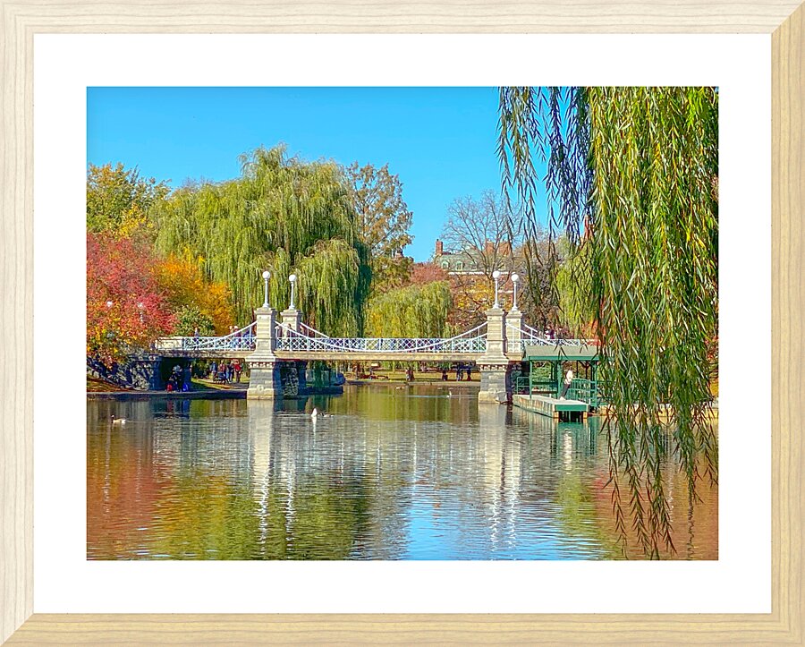 BostonPublicGarden Picture Frame print