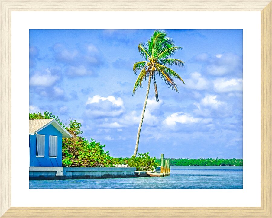 Marco Island Picture Frame print