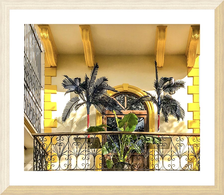 Columbia Picture Frame print