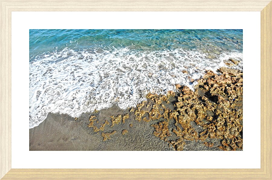 Coral Picture Frame print