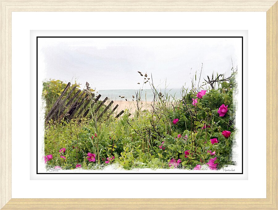 Nantucket Sea Grass Picture Frame print