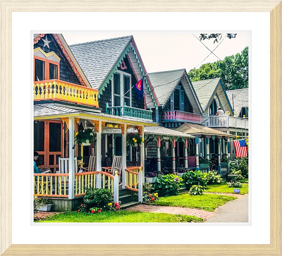 GingerHousesMV1 Picture Frame print