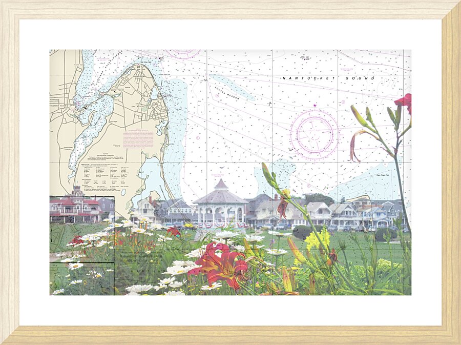 Oak Bluffs Common 2 Picture Frame print