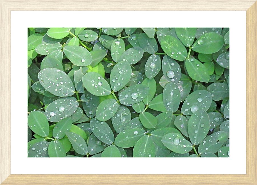 Rain Droplets Picture Frame print