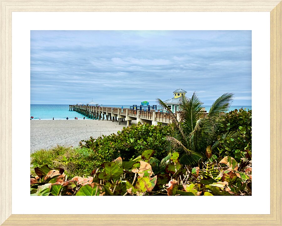 Juno Pier 2:7 E Picture Frame print