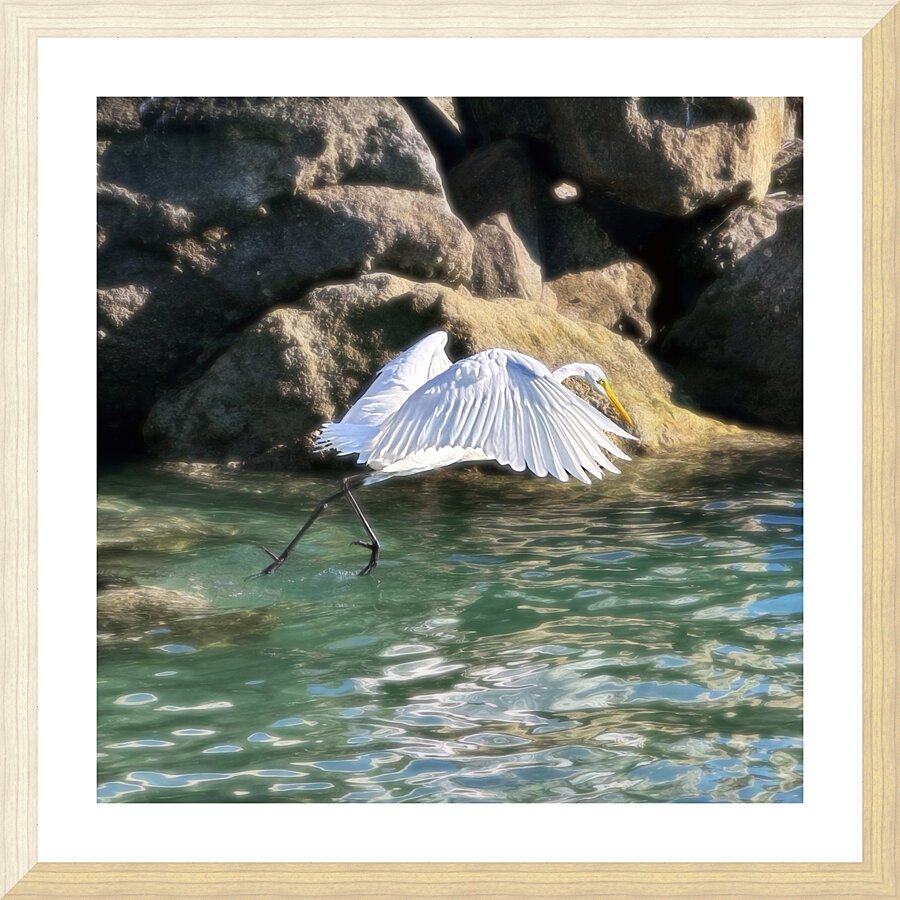EGRET2 Picture Frame print