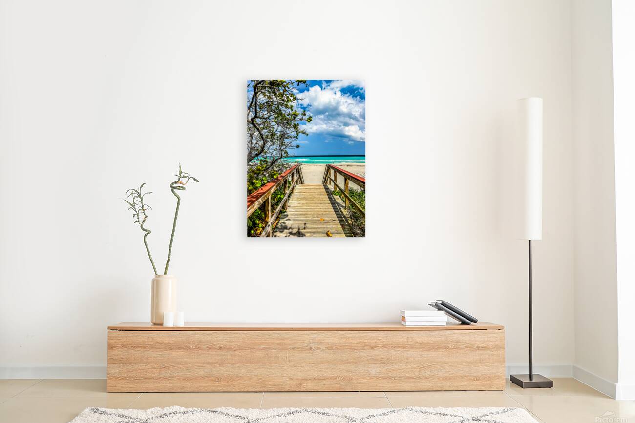 Beach Access  58 Reproduction