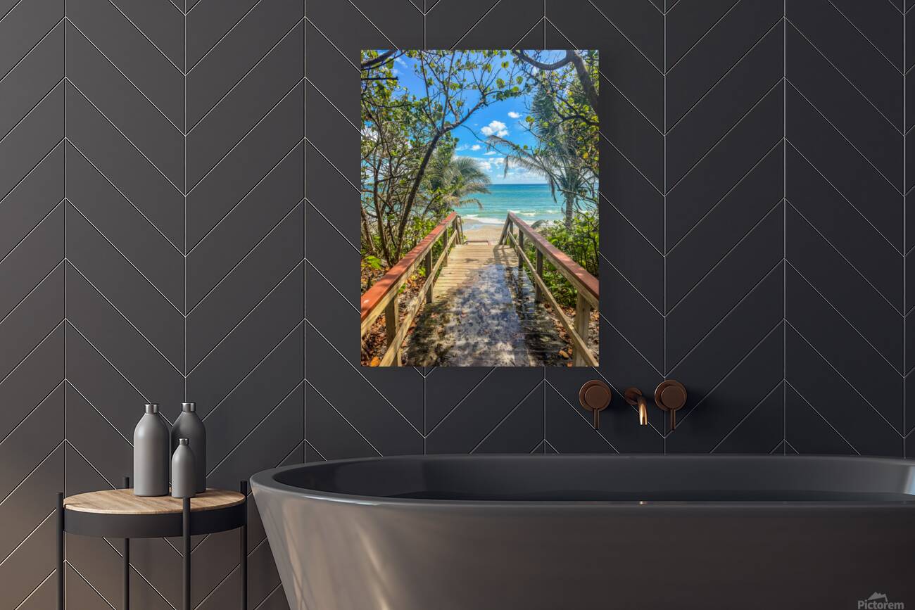 Beach Access   34 Reproduction
