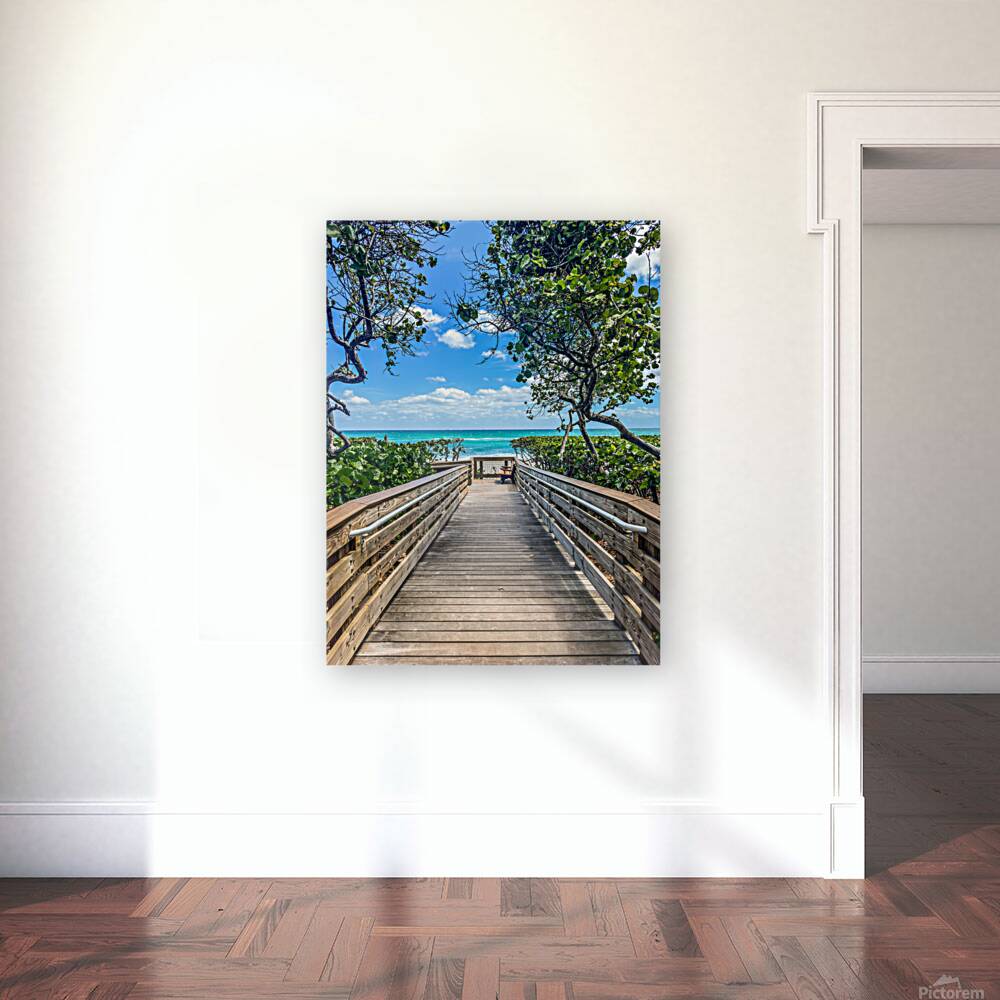 Beach Access   45 Reproduction