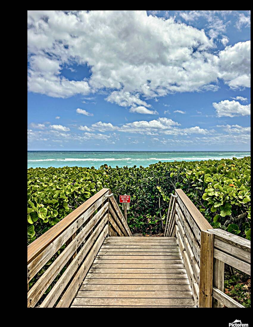 Beach Access  51 Reproduction